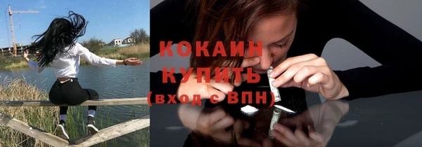 дживик Аркадак