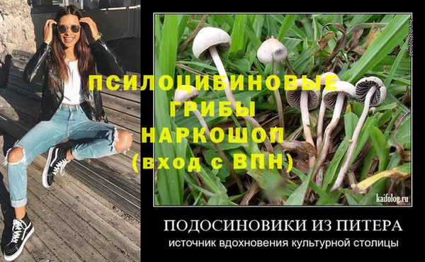 дживик Аркадак
