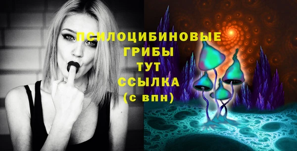 мескалин Арсеньев