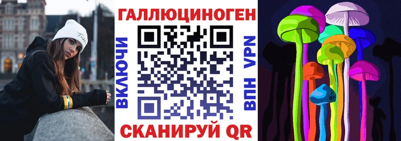 Псилоцибиновые грибы Cubensis  Ухта 